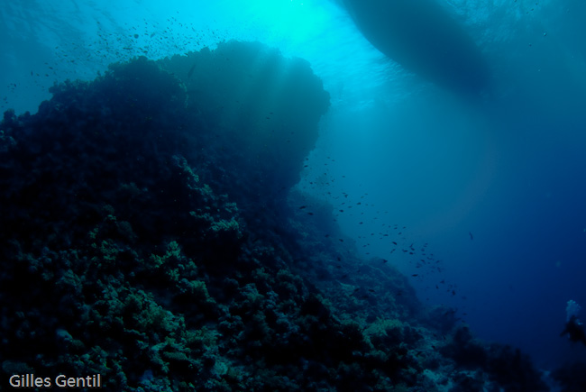 Vue du bateau du fond